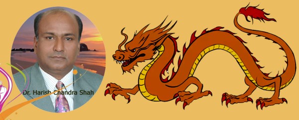The Chinese Dragon year 2024 brings evolution, improvement, and abundance